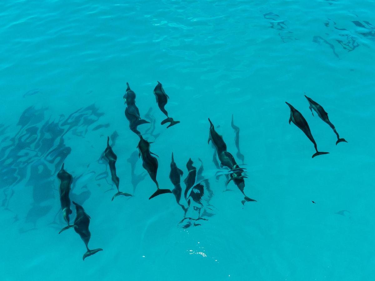 Reef Edge Hotel Thulusdhoo Buitenkant foto
