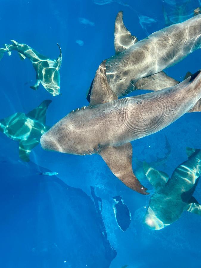 Reef Edge Hotel Thulusdhoo Buitenkant foto
