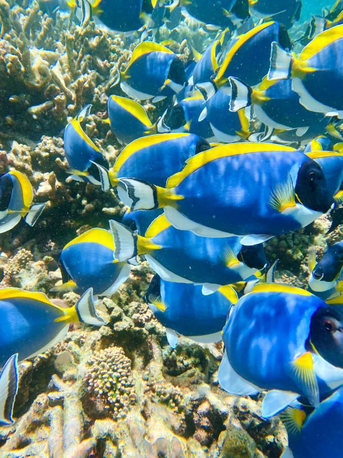 Reef Edge Hotel Thulusdhoo Buitenkant foto
